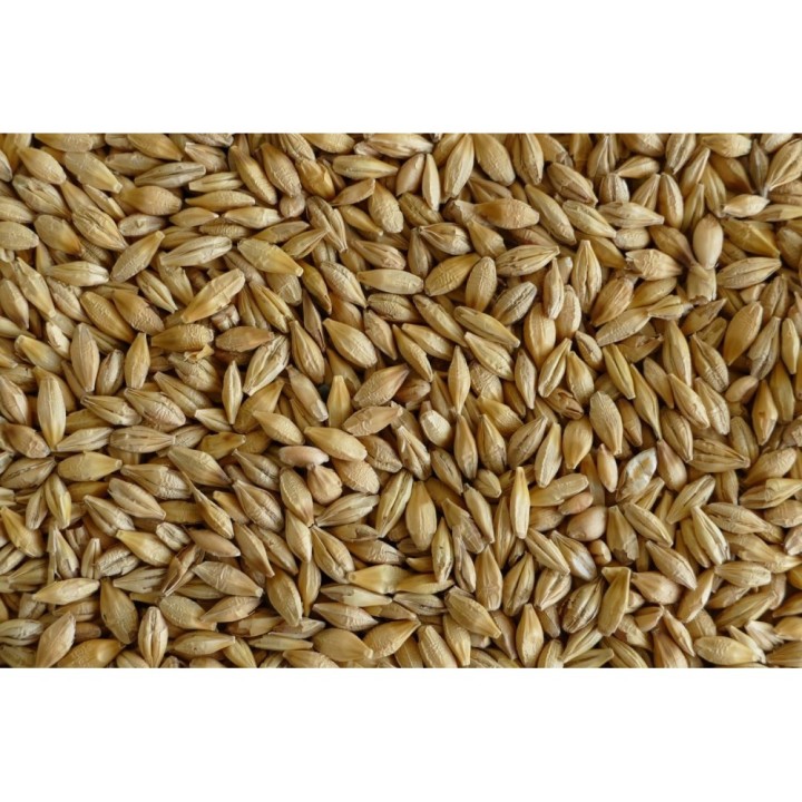 Ječmen 20kg